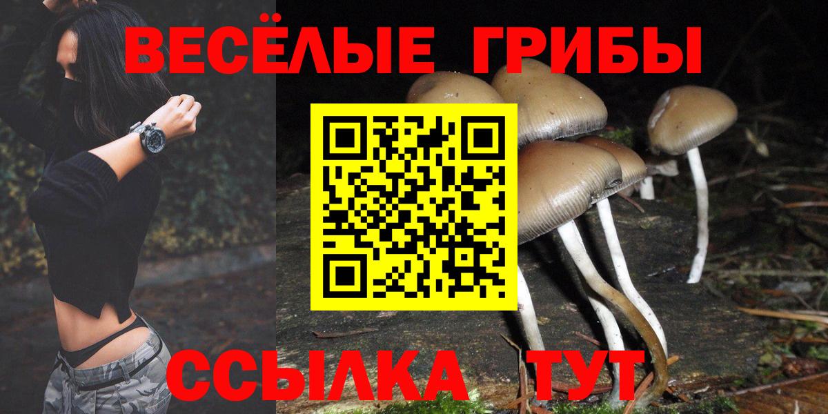 Галлюциногенные грибы MAGIC MUSHROOMS Моздок