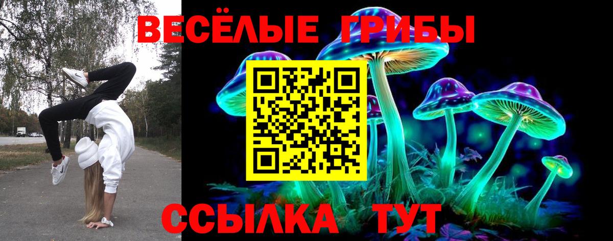 Галлюциногенные грибы мухоморы  Вход с VPN  Галлюциногенные грибы ЛСД  Моздок 